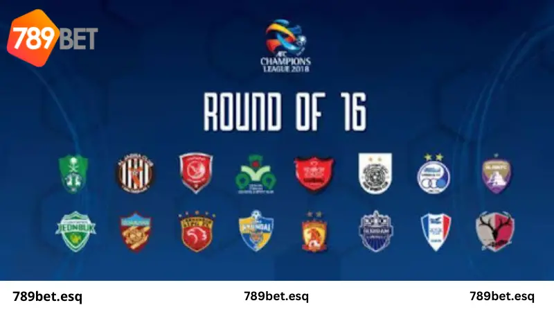 AFC Champions League- Giải Bóng Đá Cấp Câu Lạc Bộ Danh Giá Nhất Châu Á