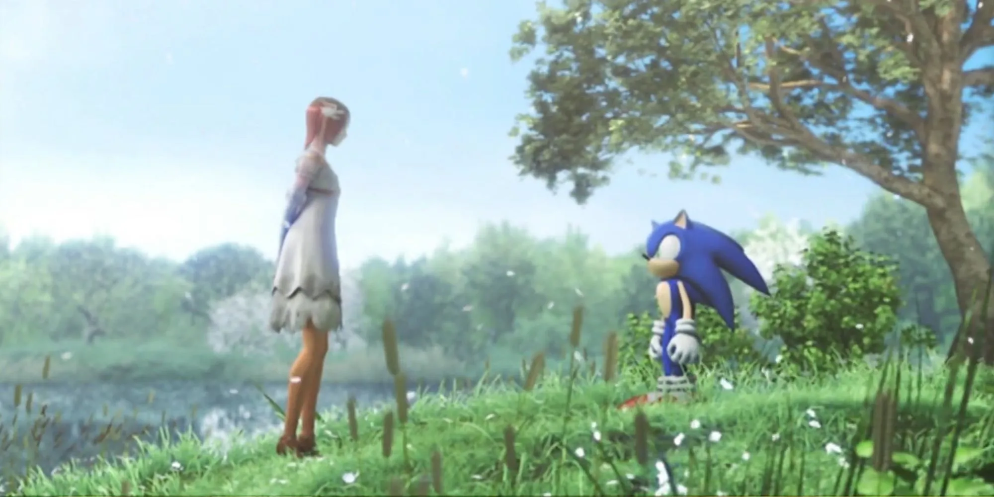 Công chúa Elise và Sonic đứng trên một cánh đồng trong Sonic The Hedgehog 2006.