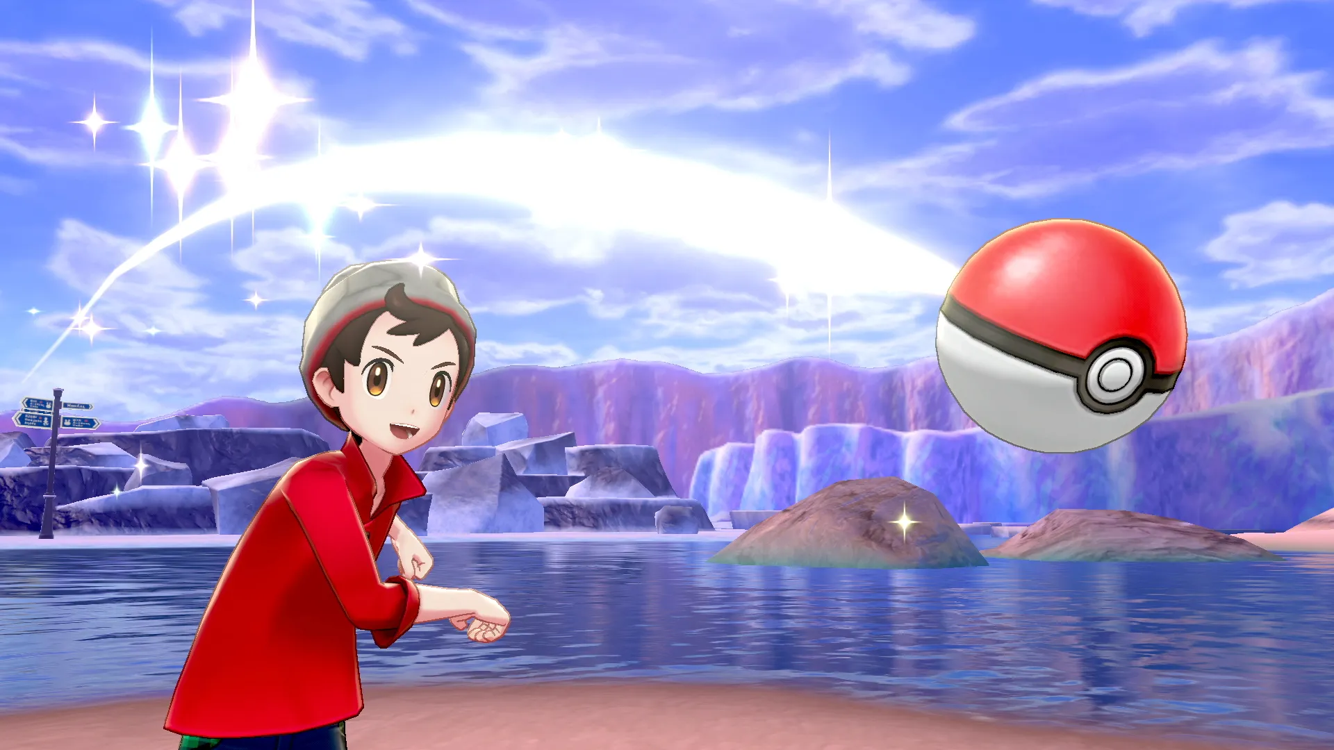 Khu vực hoang dã trong Pokémon Sword and Shield với hình ảnh Pokemon đang chiến đấu