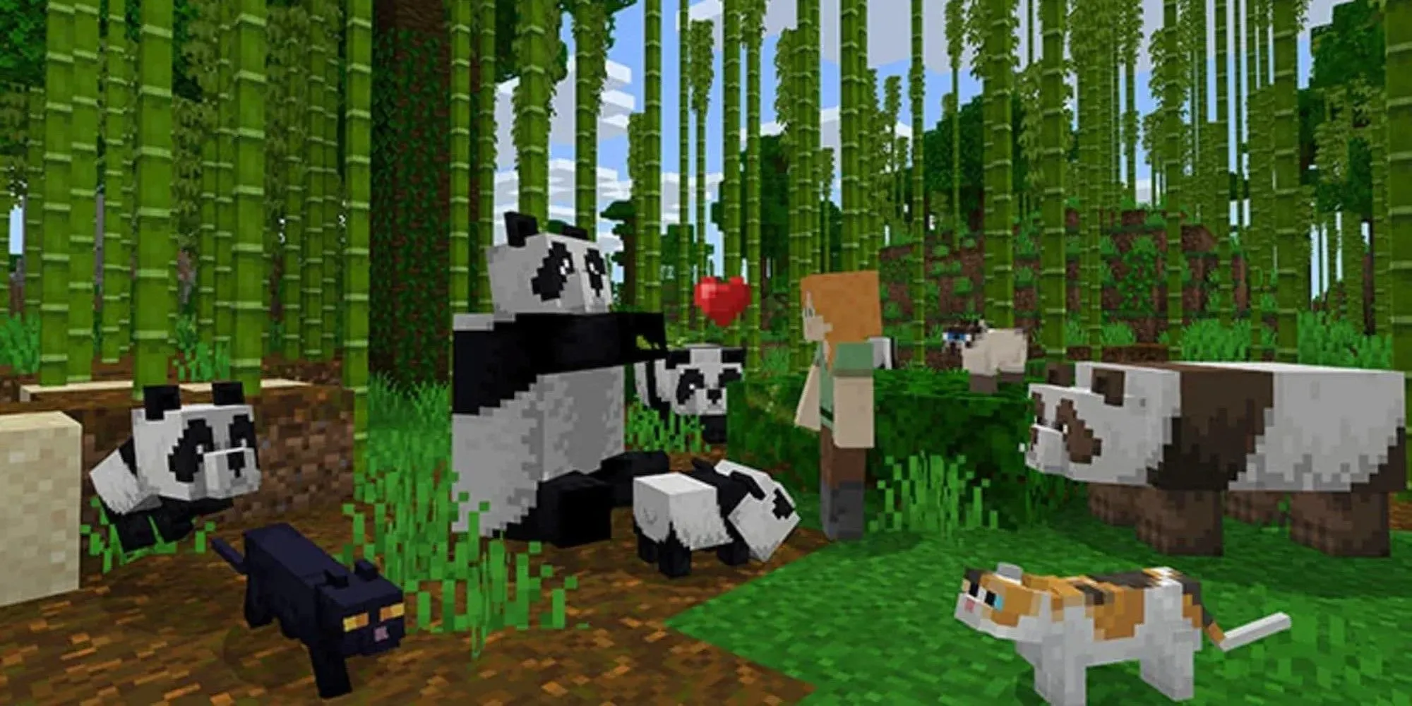 Nhân vật chơi cùng gấu trúc và mèo trong Minecraft