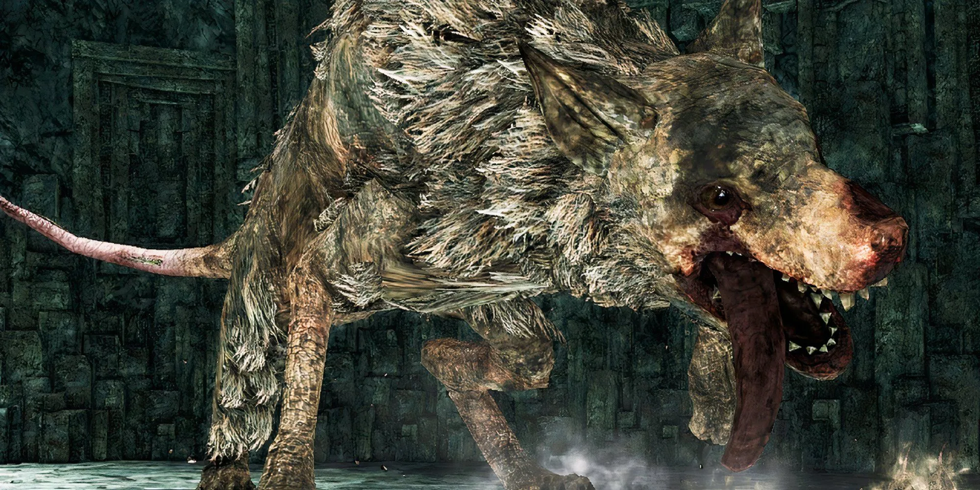 Royal Rat Authority, một con chó sói/chuột khổng lồ đang tấn công trong một khu vực tối tăm của Dark Souls 2.