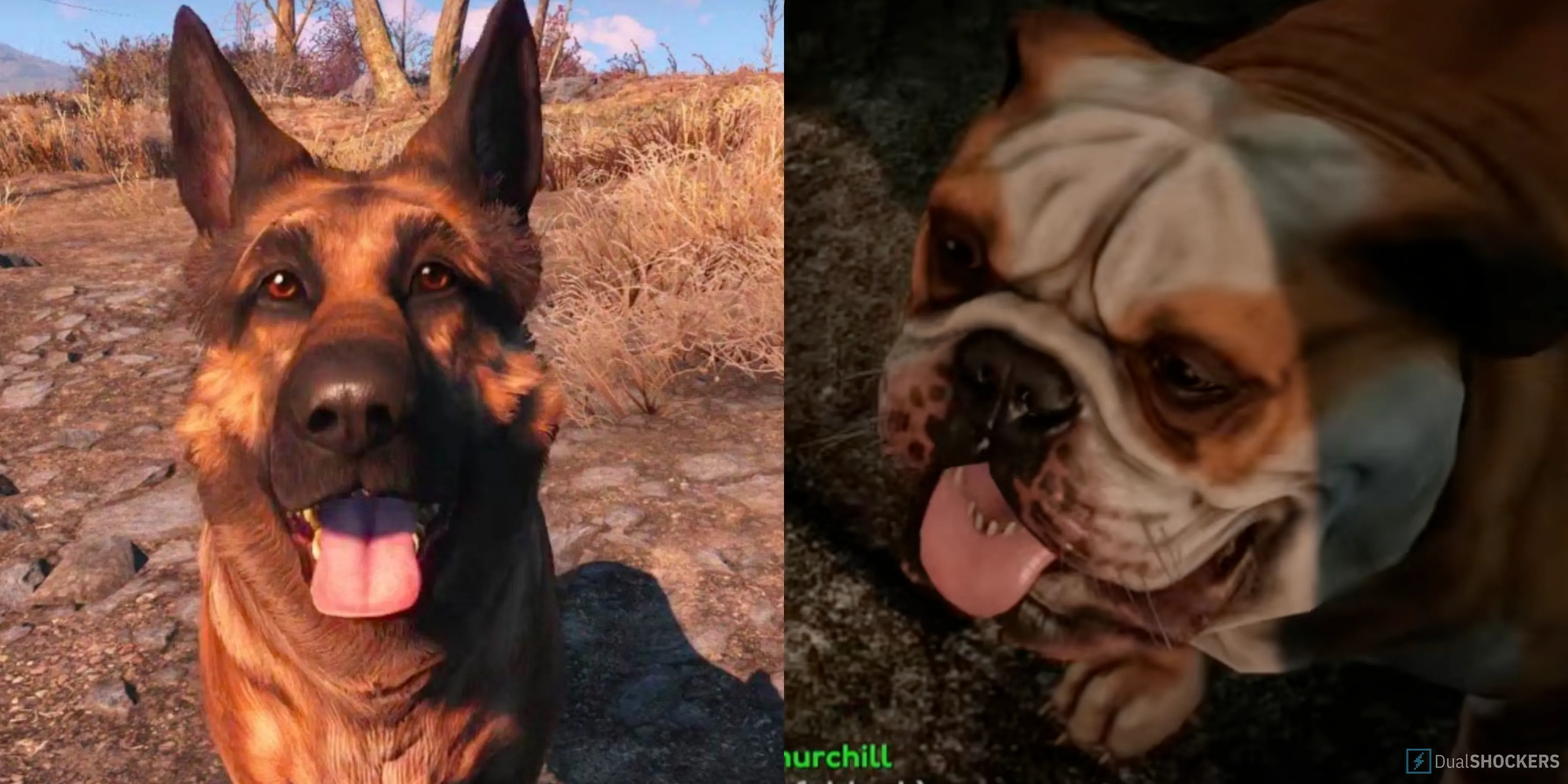 So sánh ngoại hình Dogmeat trong Fallout 4 và Churchill trong bản mod Fallout London