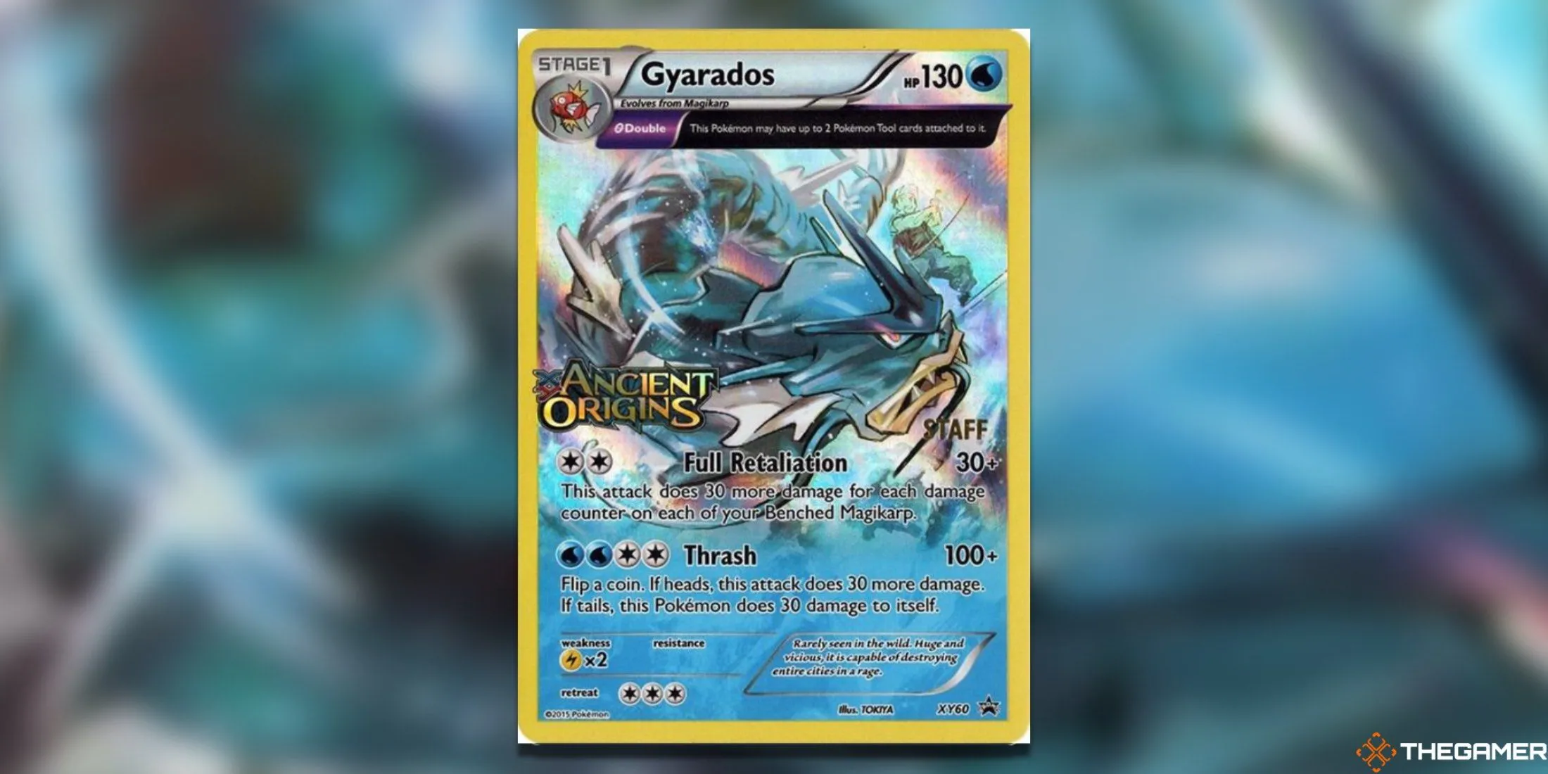 Gyarados XY Promo Staff Pokemon TCG