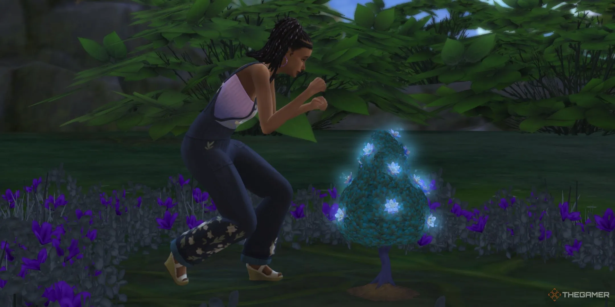 Một Sim đang thu thập cánh hoa aura ở Everdew trong The Sims 4 Enchanted By Nature