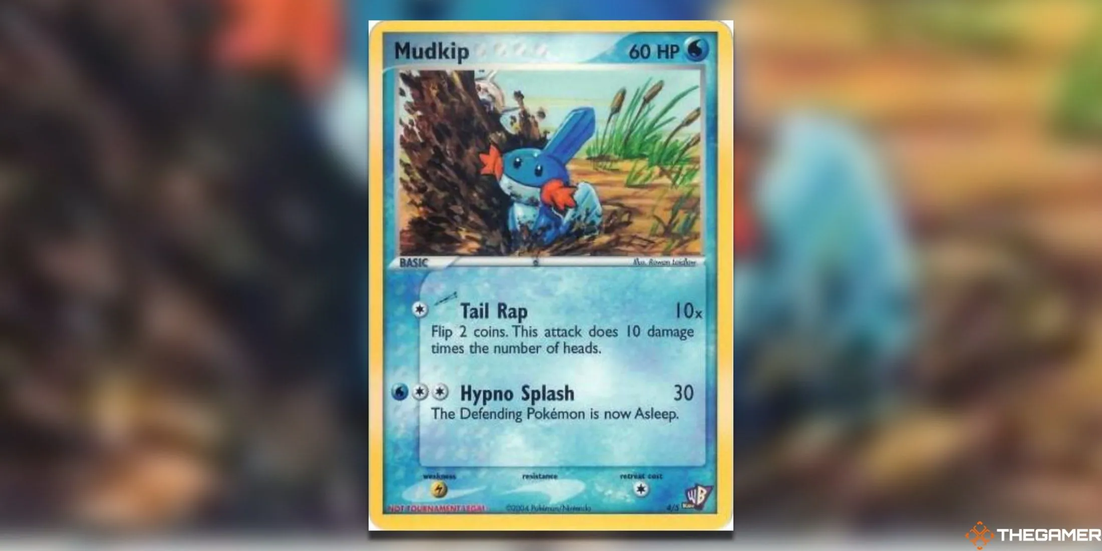 Mudkip Kids WB Promos Pokemon TCG