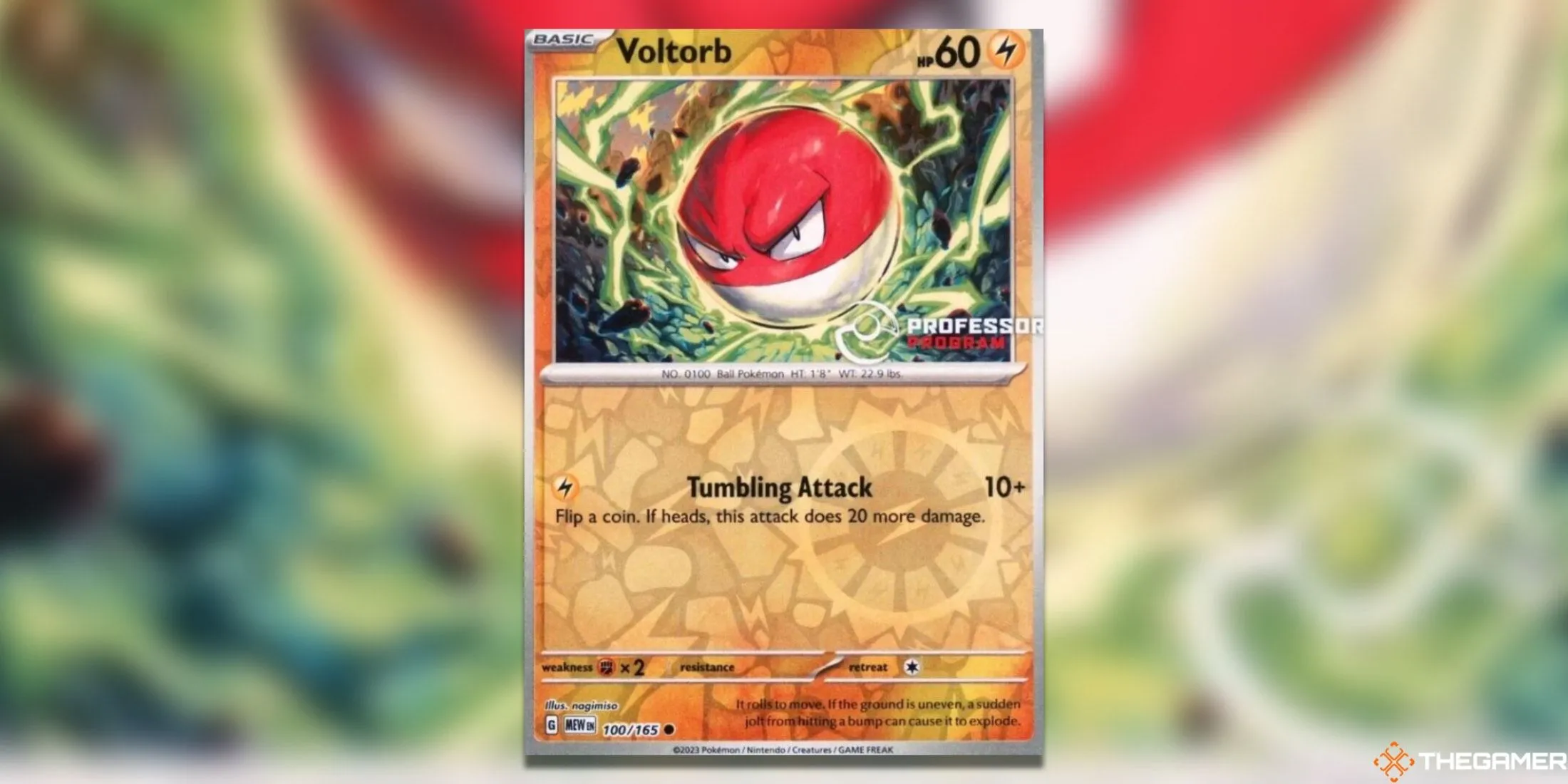 Voltorb Professor Program Promo Pokemon TCG