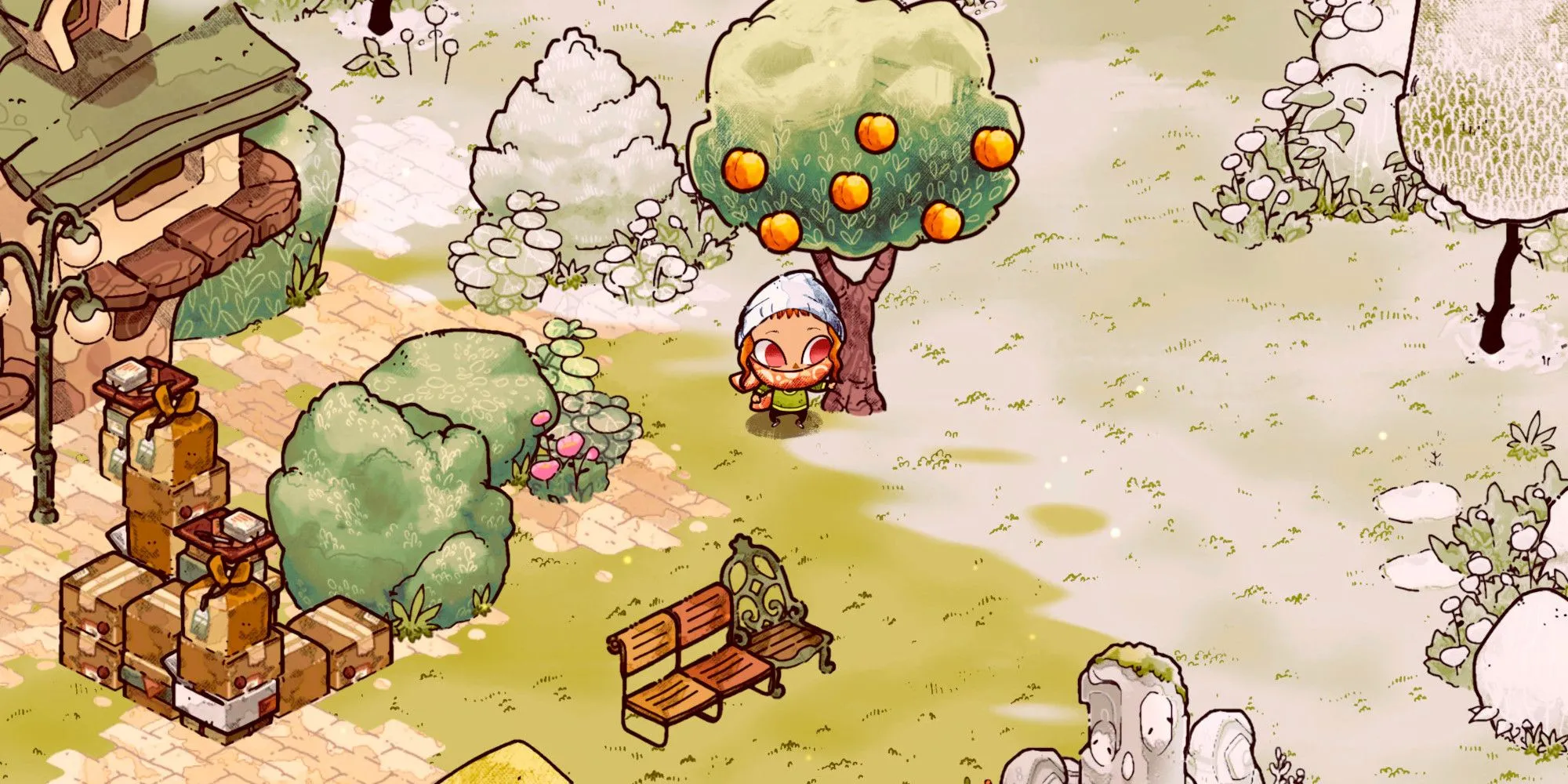 Khu công viên Cozy Grove với cây màu cam